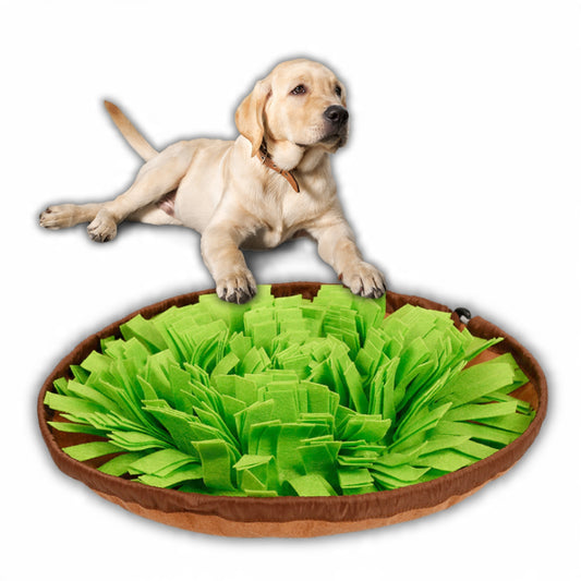 Mata węchowa dla psa, zabawka slowfood edukacyjna na smaczki - zielona